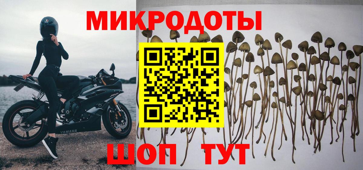 Галлюциногенные грибы MAGIC MUSHROOMS  Вход с VPN  Канаш 
