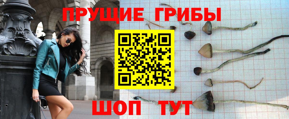 Галлюциногенные грибы Cubensis Канаш
